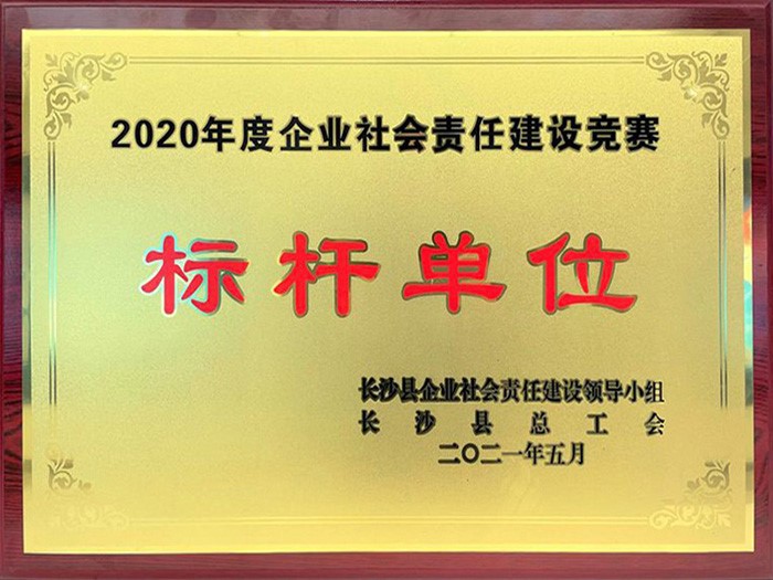 喜讯 | 壹号娱乐荣获2020年度企业社会责任建设竞赛“标杆单位”